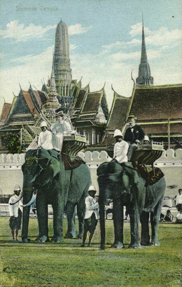 Siam Thailand, Siamese Temple, Elephants (1910s) Postcard