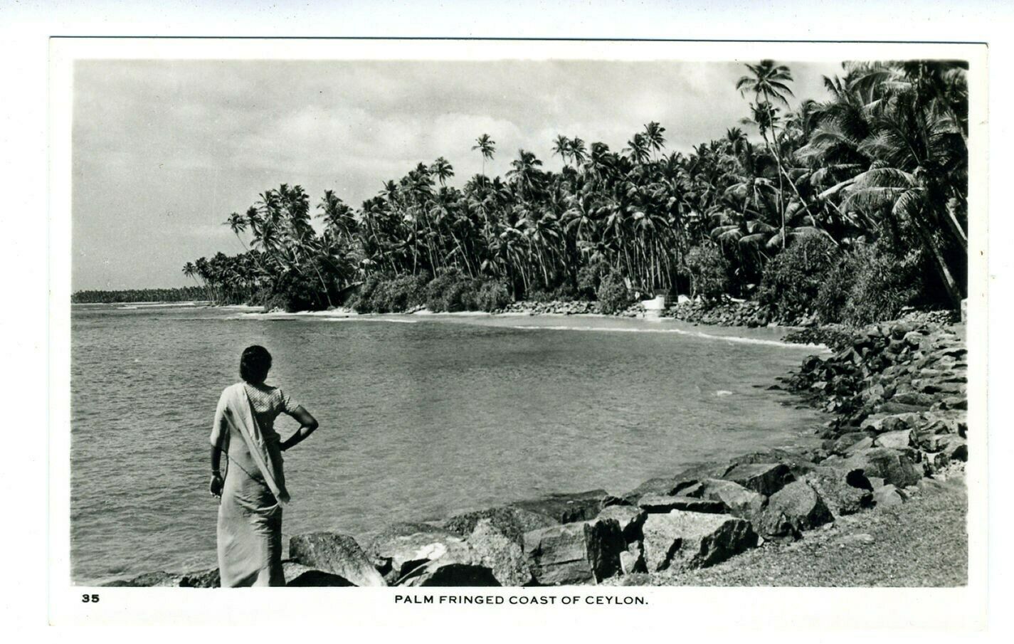 Palm Fringed Coast Of Ceylon Real Photo Postcard Sri Lanka